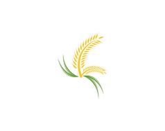 小麦大米农业标志向量模板