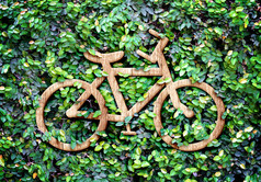 生态概念木纹理自行车图标绿色叶子墙