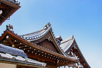 《京都议定书》日本3月细节传统的木日本寺庙屋顶区域佛教寺庙和公园身份《京都议定书》日本