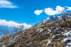 美丽的山景观与树没有叶子的喜马拉雅山脉尼泊尔