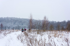 小集团游客去通过白雪覆盖的冬天森林多云的一天