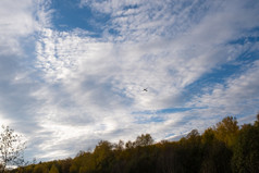 轮廓大飞机对美丽的多云的天空在秋天森林