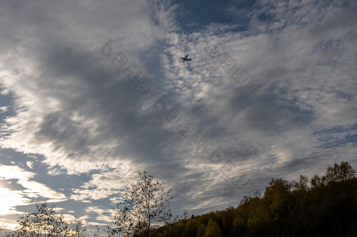 轮廓大飞机对美丽的多云的天空在秋天森林