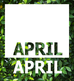 列表日历个月设计自然绿色叶背景4月日历