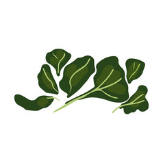 绿色叶子沙拉插图孤立的白色背景平卡通风格向量插图绿色叶子沙拉插图
