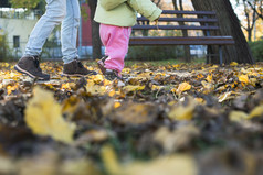 孩子走的公园秋天季节