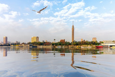 的尼罗河开罗视图的塔埃及