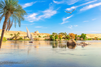的尼罗河河风景如画的风景阿斯旺城市埃及的尼罗河河风景如画的风景阿斯旺城市埃及