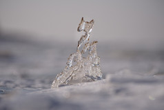 突发奇想自然特写镜头的半透明的冰形成覆盖与沙子海滩曼加尔萨拉里加拉脱维亚的开始3月水平摄影图像与非常浅景深