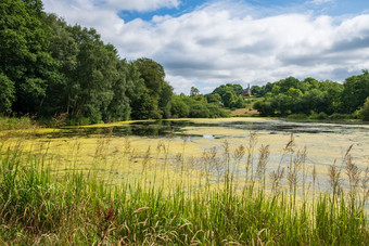 植被和池塘附近的招生小屋成莱姆公园disley柴郡曼联王国