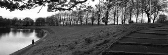 大气场景池塘树分支机构和女人走她的狗沿着小径黑色的和白色inverleith公园爱丁堡苏格兰春天下午