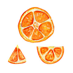 片橙色夏天柑橘类异国情调的水果新鲜的集明亮的多汁的鸡尾酒切片橙色孤立的白色背景手绘水彩橙色新鲜的集夏天柑橘类异国情调的喝