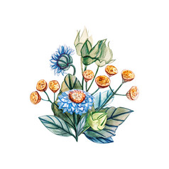 手绘花束野花水彩插图与雏菊和艾菊tanacetum和贝利斯佩伦尼斯模板为问候卡片面料婚礼邀请和剪贴簿手绘花束野花