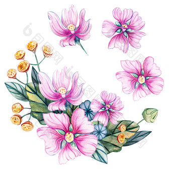 手绘花束野花水彩插图与锦葵和艾菊tanacetum和淡紫色的模板为问候卡片面料婚礼邀请和剪贴簿手绘花束野花