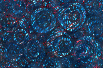 摘要蓝色的和红色的背景难看的东西纹理与划痕点和行与圈和白色点刷印记花味蕾身体细胞医学生物学化学手画摘要蓝色的和红色的背景