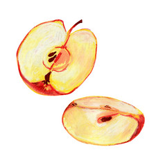 一半红色的苹果孤立的白色背景季度成熟的水果与纸浆和种子手绘石油柔和的插图为食物标签设计生态产品一半红色的苹果孤立的白色背景