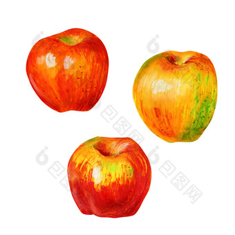 三个苹果孤立的白色背景成熟的多汁的水果现实的风格手绘石油柔和的背景为的设计食物标签纺织品和包装三个苹果孤立的白色背景