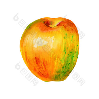 一个<strong>黄色</strong>的苹果孤立的白色背景<strong>黄色</strong>的橙色红色的绿色水果<strong>手绘</strong>石油柔和的插图为食物标签设计生态产品一个<strong>黄色</strong>的苹果孤立的白色背景
