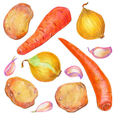 食物插图与蔬菜土豆胡萝卜洋葱番茄大蒜为包装设计标签和广告水果夏天和秋天孤立的白色背景食物插图与蔬菜