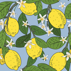 无缝的模式分支机构与柠檬绿色叶子和花蓝色的柑橘类水果背景向量插图无缝的模式分支机构与柠檬绿色叶子和花蓝色的柑橘类水果背景向量插图