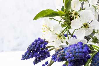 花束蓝色的花蓝铃花和白色樱桃花朵Jar水光背景在那里的地方为你的文本花束蓝色的花蓝铃花和白色樱桃Jar水光背景的地方为你的文本