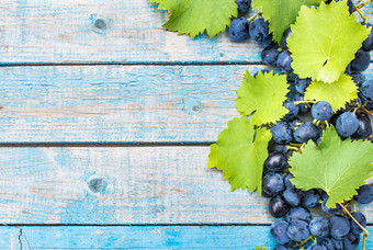 蓝色的葡萄和绿色叶子蓝色的老董事会群葡萄木表格复制空间蓝色的葡萄和绿色叶子蓝色的老董事会群葡萄木表格