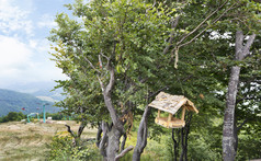 的前的山的分支机构树挂起木鸟给料机特写镜头对的背景山景观木鸟给料机的分支机构树对背景山景观和滑雪电梯