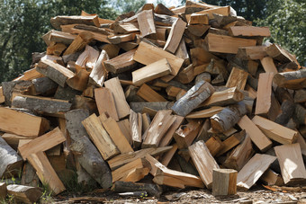 干切碎柴火堆放桩关闭桩干切碎柴火在户外对的背景绿色树
