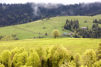 春天明亮的早....的喀尔巴阡山脉的山的农村小屋站的坡的山美丽的典型的农村风景喀尔巴阡山乌克兰农村小屋的坡的喀尔巴阡山脉的山的阴霾的早....雾