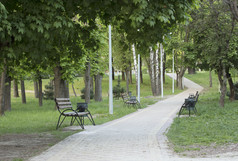木长椅的城市夏天公园沿着的鹅卵石路径的铺设路与木长椅叶子成的距离的城市夏天公园