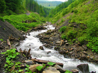 的清晰的水山河通过通过级联巨石沿着绕组峡谷之间的的山的喀尔巴阡山脉的山级联巨石和老日志的路径快山河之间的的山的喀尔巴阡山脉的山