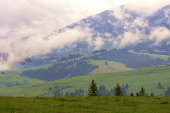 的撕裂云早....雾慢慢地下沿着的山坡上的喀尔巴阡山脉的山成的森林绿色山谷的早期春天早....山密集的雾传播沿着的山坡上的喀尔巴阡山脉的山的早期早....