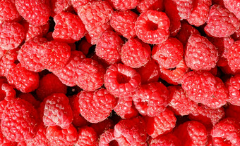 红色的和成熟的树莓特写镜头散装阳光为出售背景和纹理特写镜头前视图背景和纹理红色的成熟的树莓