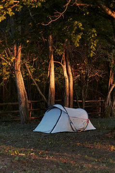 帐篷在的树野营森林日出坦诚的人真正的时刻真实的的情况下