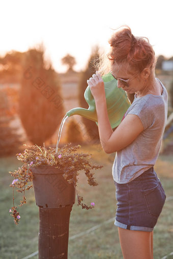 十几岁的女孩帮助水的花日益增长的花能倒水从绿色浇水可以工作后院日落坦诚的人真正的时刻真实的的情况下
