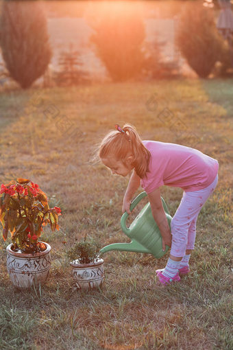 小女孩帮助水的花日益增长的花能倒水从绿色浇水可以工作后院日落坦诚的人真正的时刻真实的的情况下