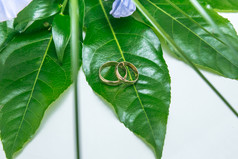 两个环和绿色叶拉脱维亚艺术婚礼照片
