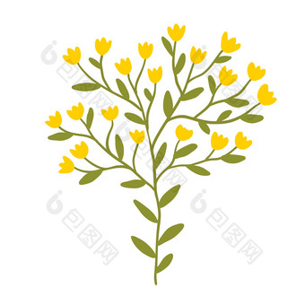 花设计与小黄色的花自然孤立的可打印的设计花设计与小黄色的花自然孤立的元素为标志设计