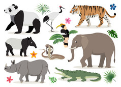 集可爱的野生动物和鸟图标装饰为孩子们卡通老虎犀牛熊猫大象鳄鱼犀鸟Cobra起重机貘向量插图孤立的白色背景集可爱的野生动物和鸟图标装饰为孩子们