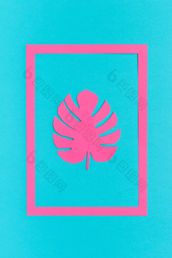 时尚的热带粉红色的叶monstera纸框架蓝色的背景有创意的平躺前视图问候卡海报最小的风格时尚的热带粉红色的叶monstera纸框架蓝色的背景有创意的平躺前视图问候卡海报最小的风格