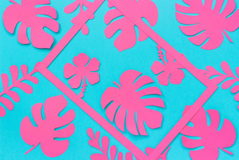热带叶子模式时尚的粉红色的热带叶子纸和框架蓝色的背景平躺自顶向下作文有创意的纸艺术热带叶子模式时尚的粉红色的热带叶子纸和框架蓝色的背景平躺自顶向下作文有创意的纸艺术
