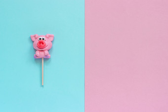 有趣的粉红色的猪棒棒糖蓝色的粉红色的背景前视图复制空间布局概念问候卡一年的猪有趣的粉红色的猪棒棒糖蓝色的粉红色的背景