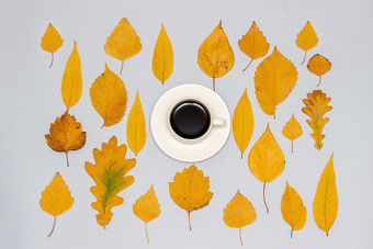 杯咖啡和集合集秋天黄色的叶子灰色的背景秋天壁纸前视图平躺概念杯咖啡和集合集秋天黄色的叶子灰色的背景秋天壁纸前视图平躺概念