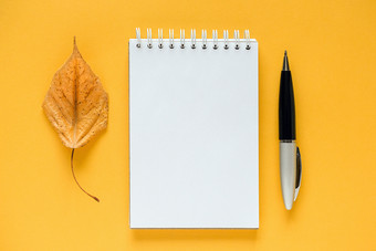秋天作文白色空白记事本干橙色叶和笔黄色的背景前视图平躺模型模板为你的设计秋天作文白色空白记事本干橙色叶和笔黄色的背景前视图平躺模型模板为你的设计
