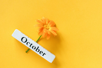 一个橙色聚花和日历秋天月10月黄色的背景前视图复制空间平躺最小的风格概念你好10月模板为你的设计问候卡一个橙色聚花和日历秋天月10月黄色的背景前视图复制空间平躺最小的风格概念你好10月模板为你的设计问