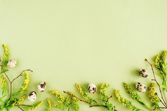 春天复活节花边境自然树分支机构黄色的花和鹌鹑鸡蛋绿色背景与复制空间有创意的平躺前视图模板为你的设计春天复活节花边境自然树分支机构黄色的花和鹌鹑鸡蛋绿色背景与复制空间有创意的平躺前视图模板为你的设计
