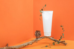 一个白色空白化妆品管瓶木坚持与干花和桉树分支角落里空间橙色背景模型前面视图复制空间一个白色空白化妆品管瓶木坚持与干花和桉树分支角落里空间橙色背景模型前面视图复制空间
