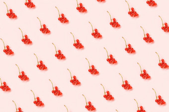 浆果模式树枝红色的醋栗浆果粉红色的纸背景最小的风格有创意的平躺前视图浆果模式树枝红色的醋栗浆果粉红色的纸背景最小的风格有创意的平躺前视图