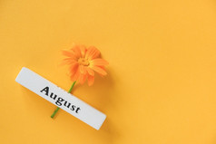 一个橙色聚花和日历夏天月8月黄色的背景前视图复制空间平躺最小的风格概念你好8月模板为你的设计问候卡一个橙色聚花和日历夏天月8月黄色的背景前视图复制空间平躺最小的风格概念你好8月模板为你的设计问候卡