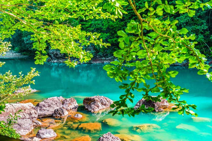 绿松石和清晰的水域塔拉河的森林黑山共和国绿松石塔拉河